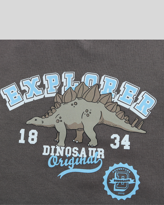 Explorer Brown Fleece Sweatshirt