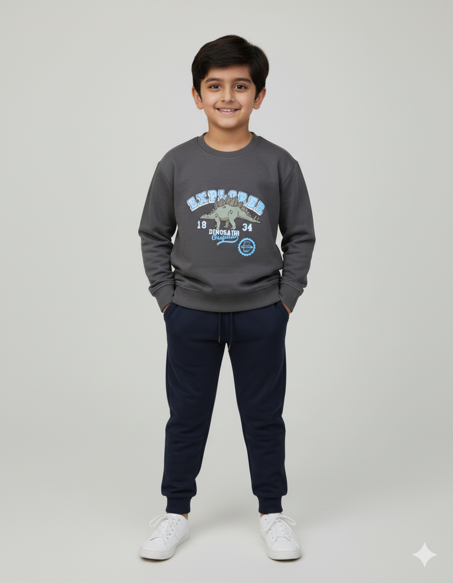 Explorer Brown Fleece Sweatshirt