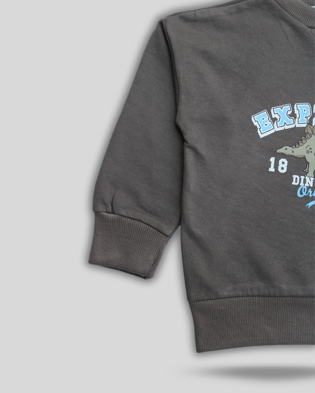 Explorer Brown Fleece Sweatshirt