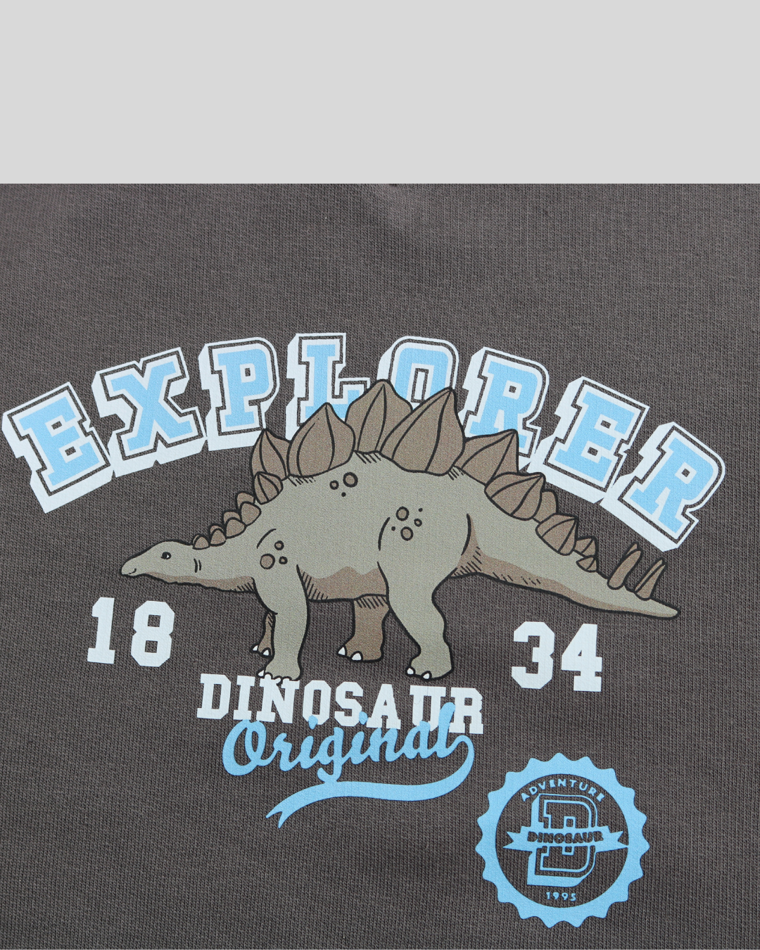 Explorer Brown Fleece Sweatshirt